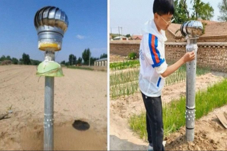 Um menino chinês de 14 anos dá uma lição de tecnologia com um sistema «antidesertificação» para regar a Grande Muralha Verde
