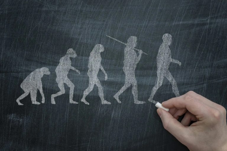 Chegou ao fim a revolução tecnológica? Descoberta recente desafia a hipótese da evolução humana