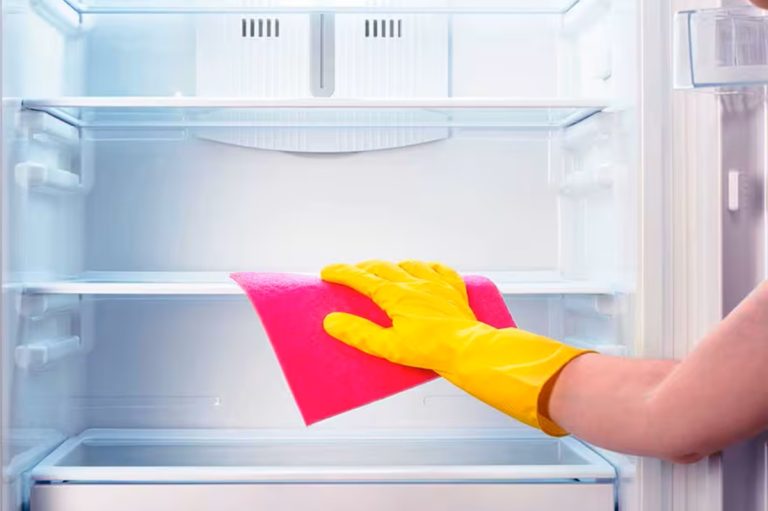 Como preparar o frigorífico para o calor e evitar maus odores no verão