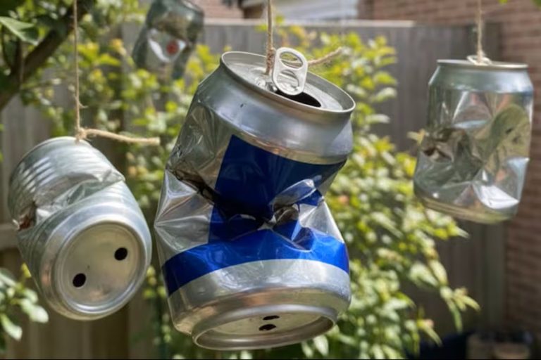 Poucos sabem: por que sugerem colocar latas de alumínio suspensas no jardim das casas