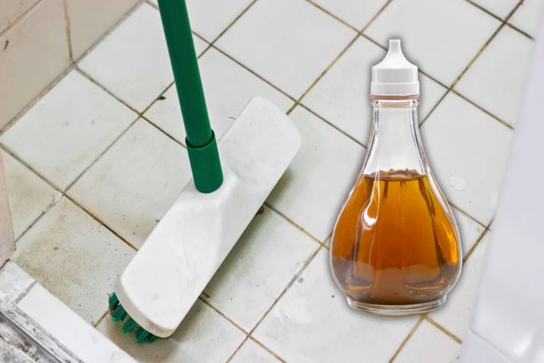 Por que é preciso limpar o chão do banheiro com vinagre e o que isso significa?
