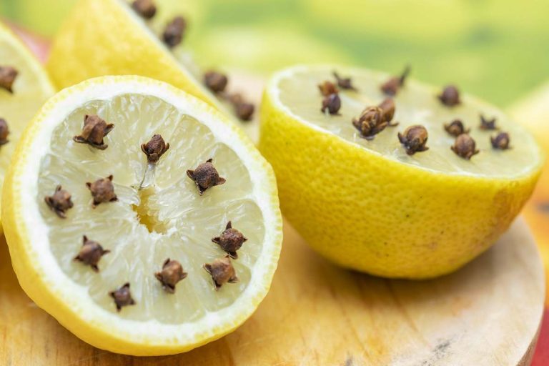 Ferver casca de limão e cravo: para que serve e por que recomendam colocá-lo no centro da cozinha