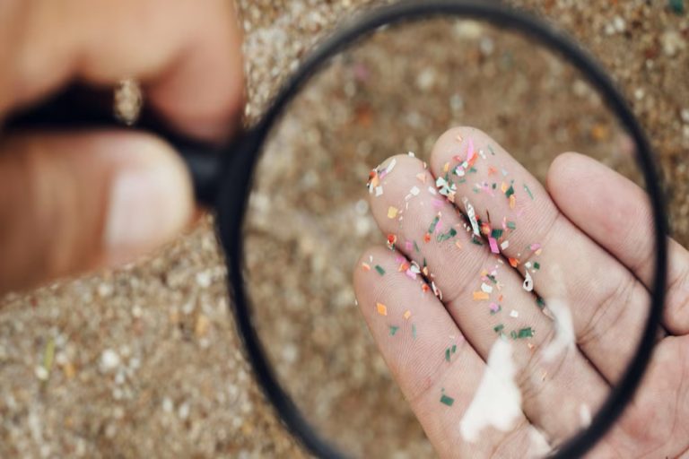 Microplásticos em alimentos, roupas e bebidas preocupam a ciência: como reduzir a exposição
