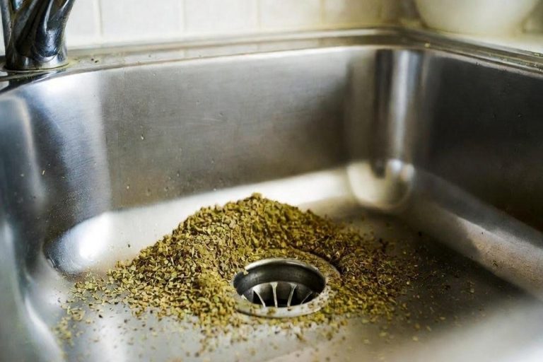 Por que recomendam jogar orégano no ralo e quais são os benefícios