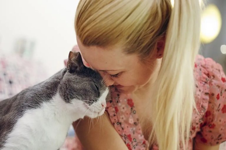 Comunicação felina: por que os gatos nos dão «cabeçadas»