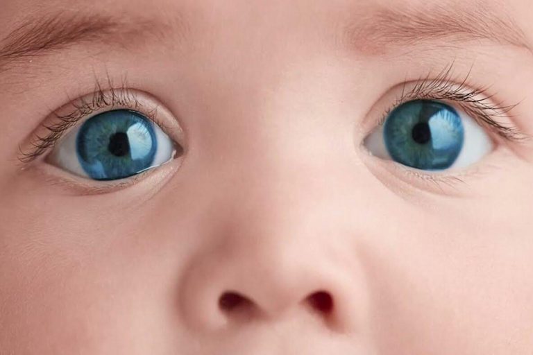 Os investigadores não acreditam: a descoberta de uma criança de 8 anos muda a ciência para sempre