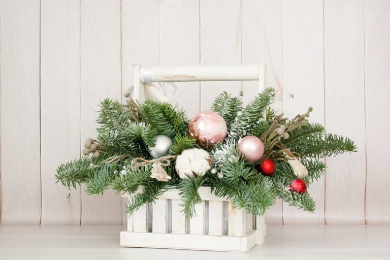 Florista: «Se quer que a sua casa tenha um aspeto impressionante no Natal, decore-a com estas plantas naturais».