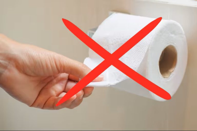 Adeus ao papel higiênico. A nova opção para banheiros que já é tendência em todo o mundo