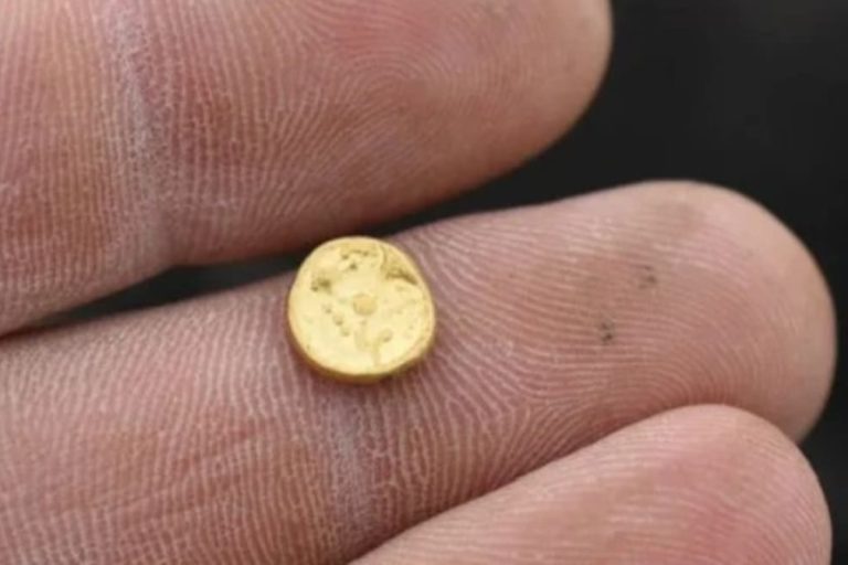 Todos jogam no lixo, mas contém ouro de 22 quilates que pode valer milhares de dólares